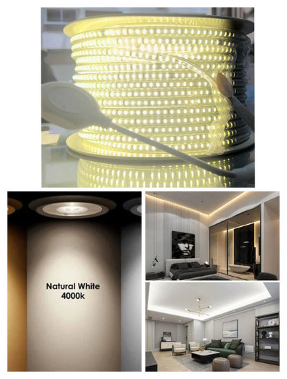 ضو راقي للمطاعم، الفيلات، الكافيهات والمحلات